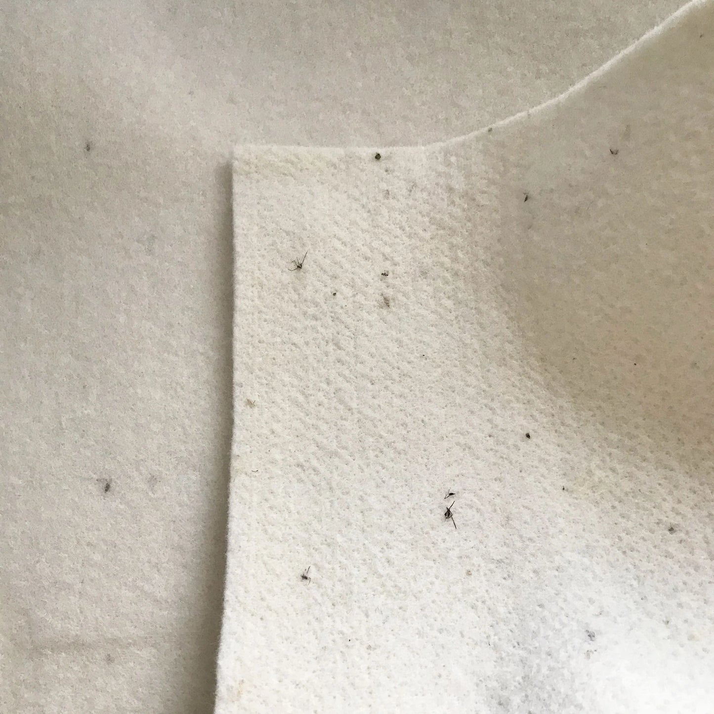 Organic Wool GOTS Certified Puddle Pad