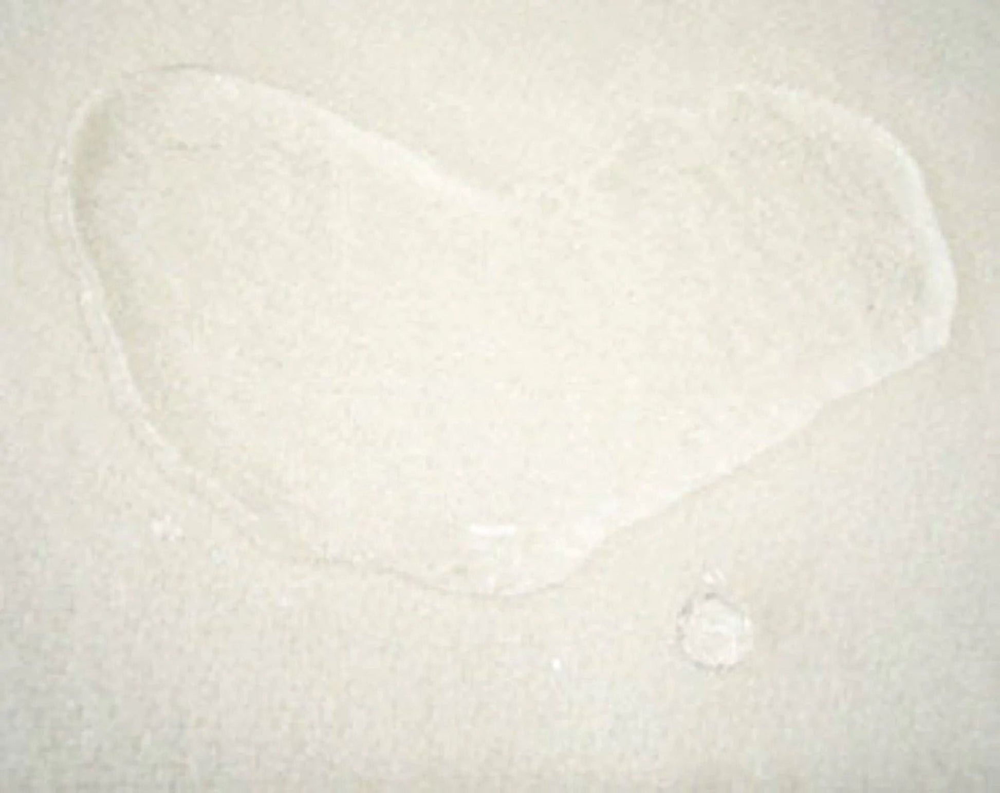 a white, wet spot on a surface, possibly a carpet or a piece of fabric.